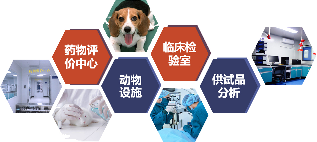 永乐国际·F66(中国)官方网站入口